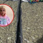 Policía detiene a la artista urbana “Masha” y a un hombre con presunta marihuana en Villa Francisca