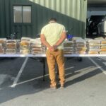 DNCD y Ministerio Público incautan 572 libras de marihuana en operativo en Baní