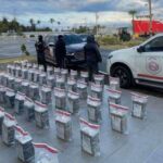 Incautan 643 paquetes de cocaína en un amplio operativo en el país