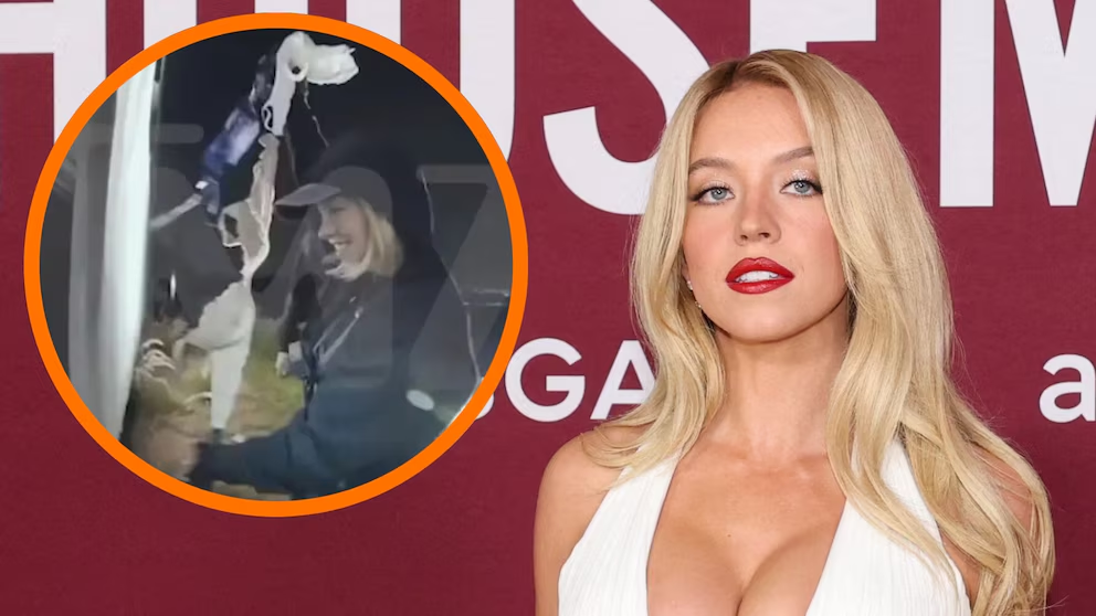 Actriz Sydney Sweeney podría ser acusada tras colgar sostenes en el cartel de Hollywood