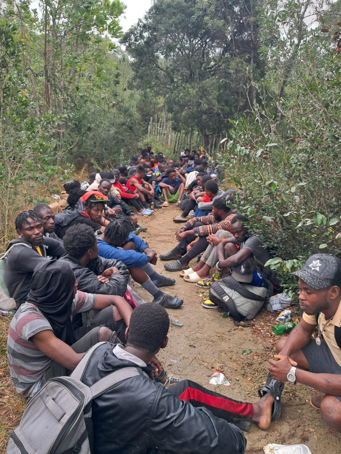 Ejército Dominicano detiene a 66 indocumentados en operativo realizado en Loma de Cabrera