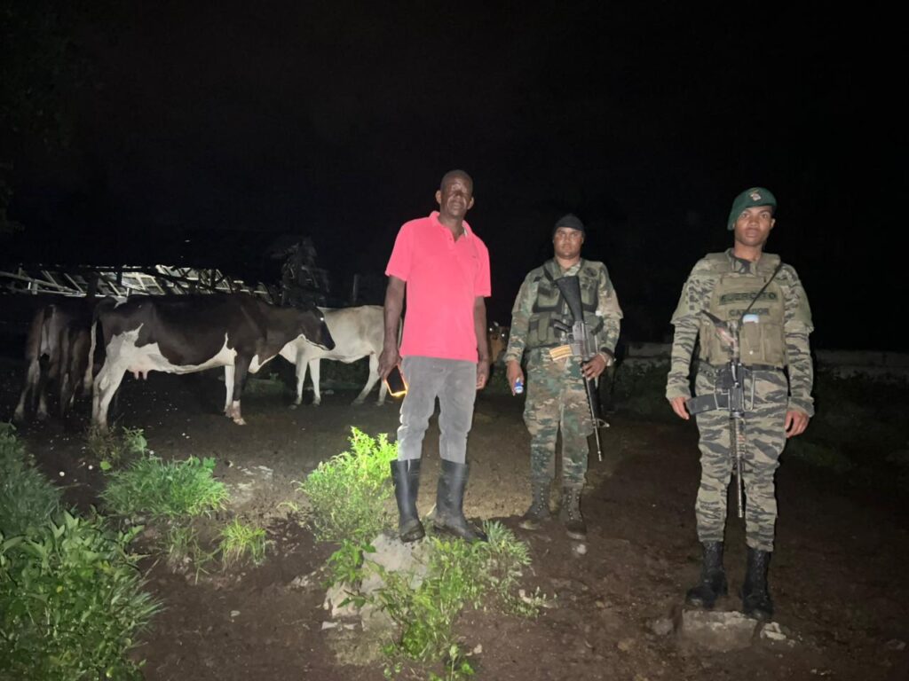 Ejército logra recuperar 18 reses robadas en Loma de Cabrera, Dajabón