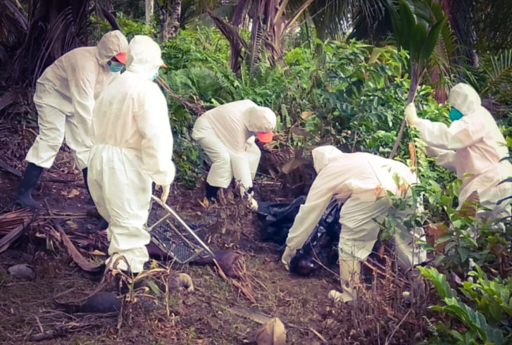 Encuentro de osamenta quemada genera alarma en Nagua