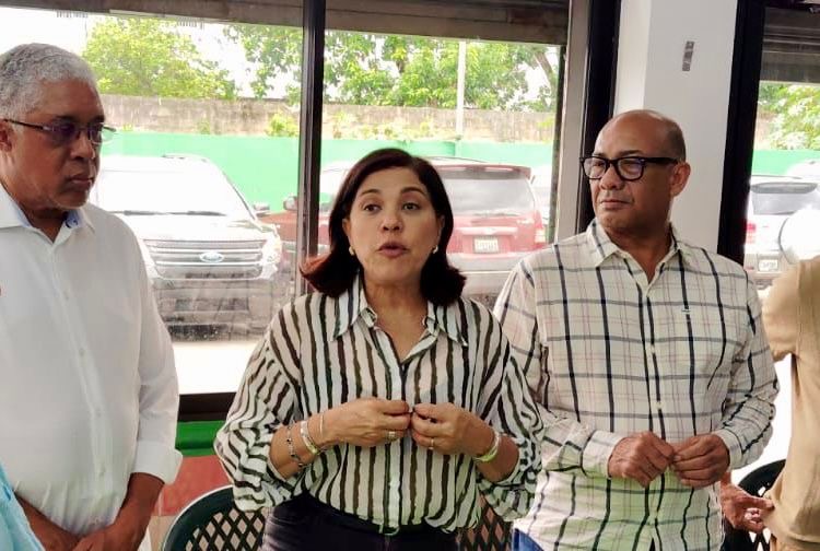 Fuerza del Pueblo: “Nuevo plan del Ministerio de Interior y Policía confirma el fracaso del Gobierno para construir una verdadera estrategia de seguridad”
