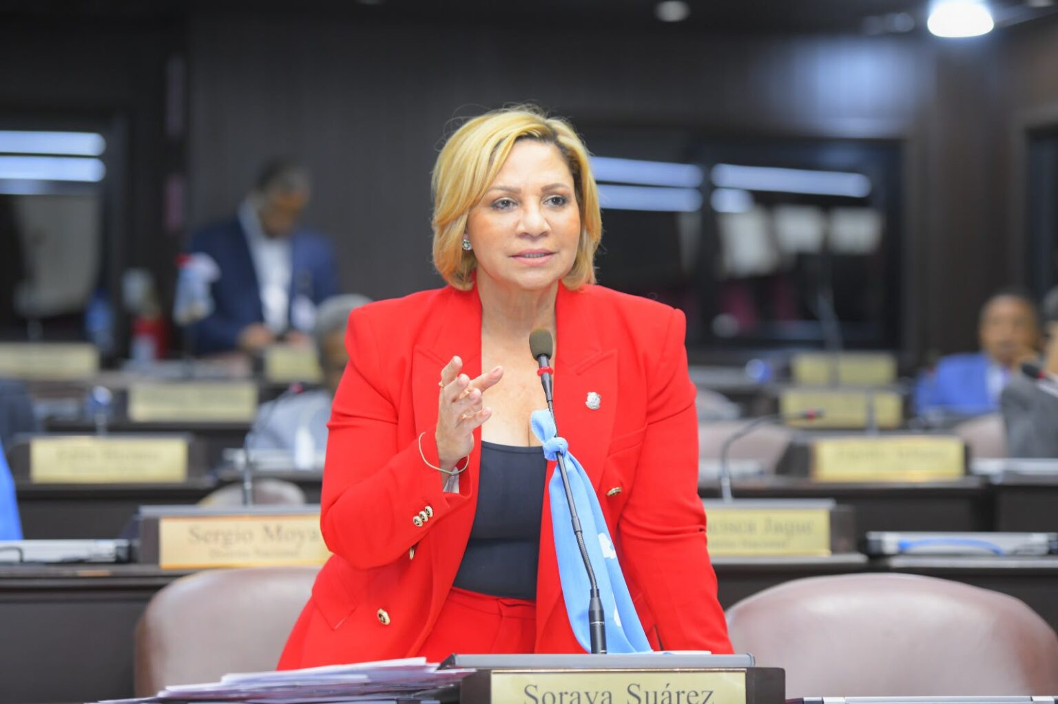 Diputada Soraya Suárez califica estatus «Hambre Cero» dado por la FAO como un triunfo del Estado Dominicano