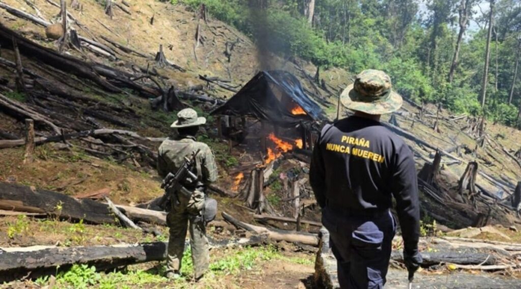 Fuerzas Armadas de Honduras destruyen 125 mil arbustos de coca en zona protegida