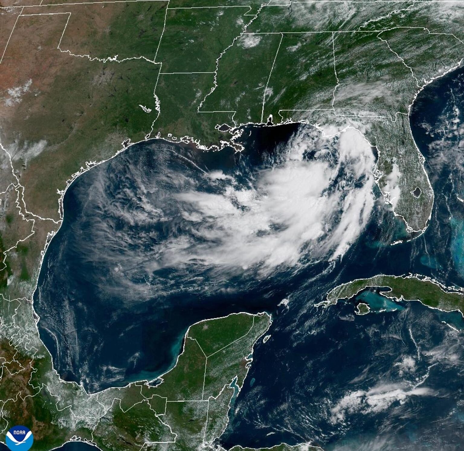 Tormenta Bertha se desarrolla en el golfo de México este lunes