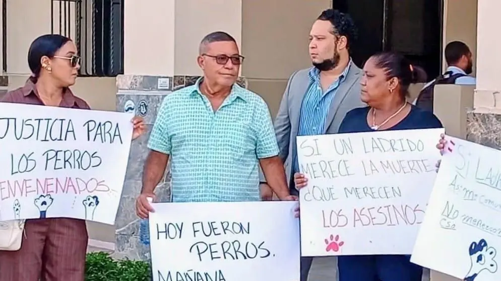 Comunidad exige justicia por envenenamiento de animales en Puerto Plata