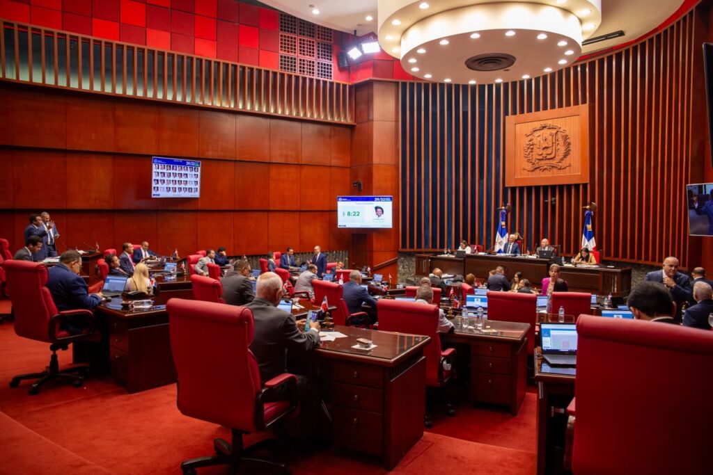 Senado aprueba en segunda lectura ley que crea el Instituto Nacional de Custodia a favor de las mujeres victimas de violencia de genero