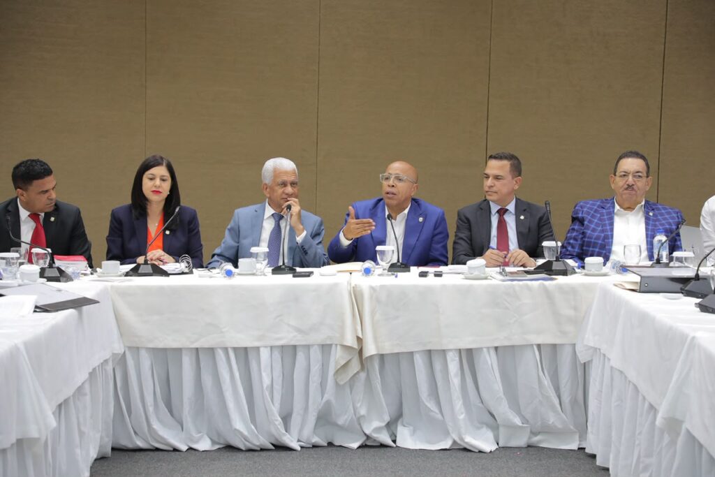 Congreso Nacional encamina consenso definitivo para reformar el Código Penal antes de concluir la legislatura el 26 de julio