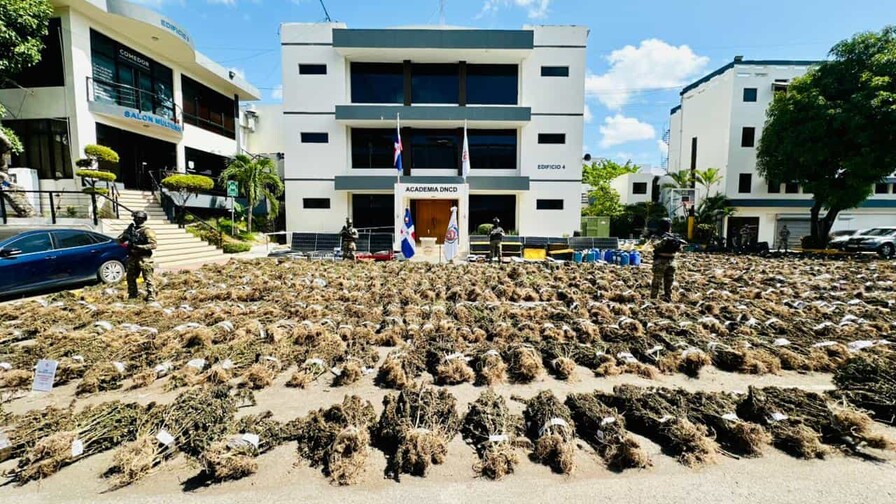 Justicia en Ocoa ordena liberar a tres hombres vinculados a plantación de marihuana