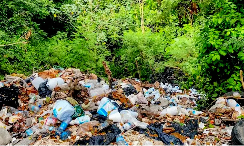 Ambientalistas se suman al rescate de la ribera del Yaque Norte