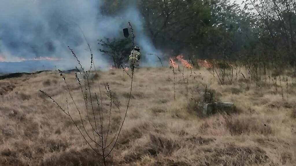 Controlan incendio forestal en Valle Nuevo tras 36 horas de labores y mantienen el parque cerrado