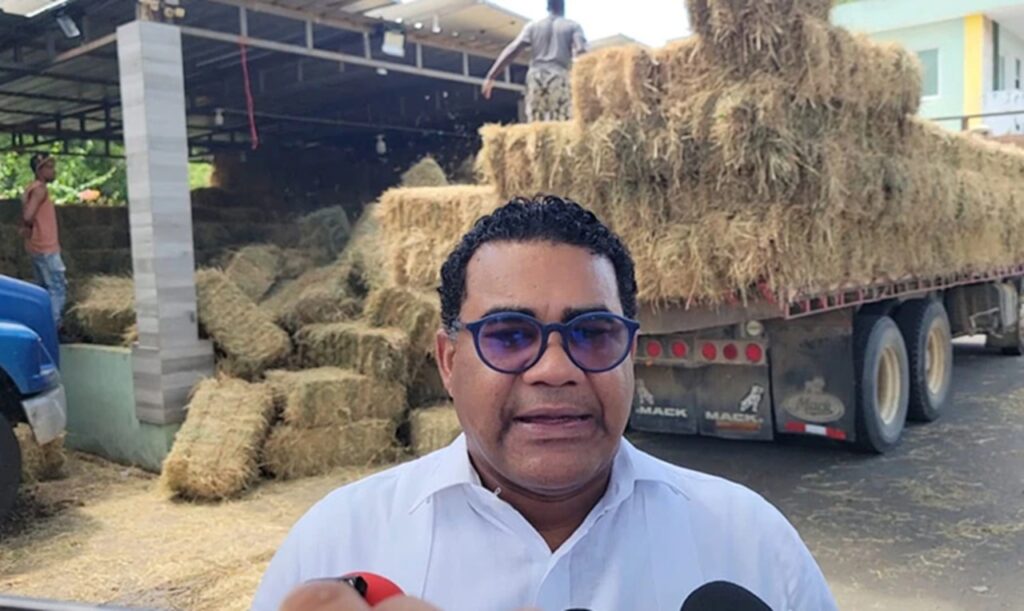 Diputado de Dajabón gestiona pacas de heno para apoyar a ganaderos afectados por la sequía