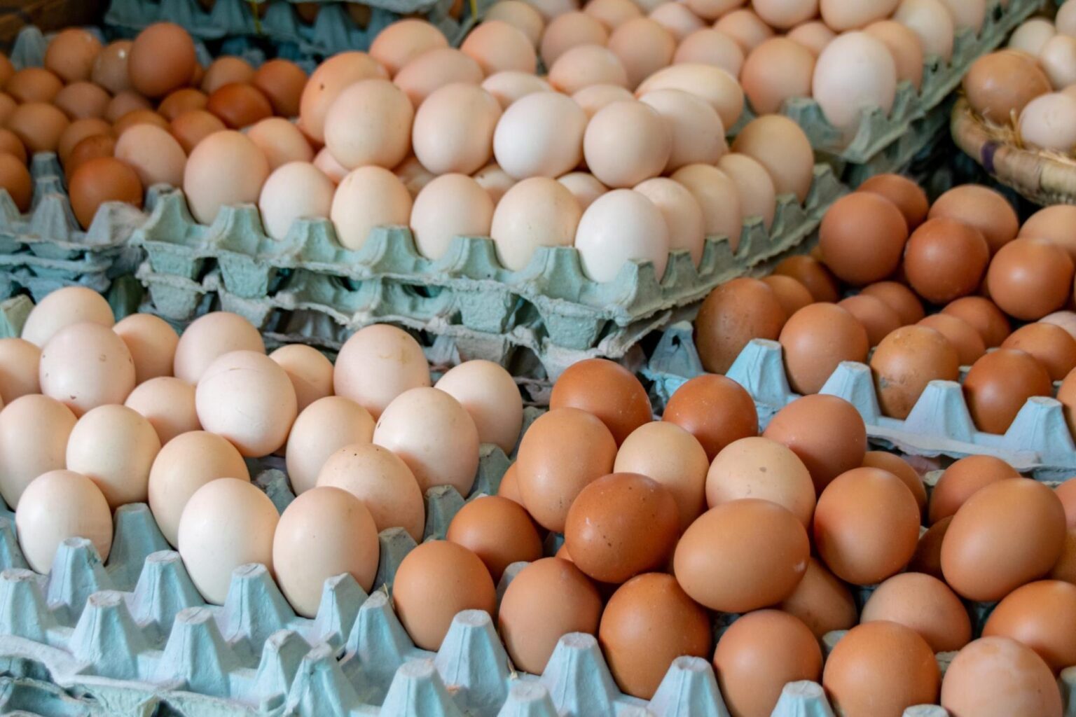 EE.UU. retira 19 millones de huevos por peligro sanitario