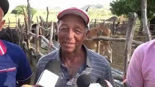 Ganaderos de Montecristi y Dajabón afectados por fuerte sequía