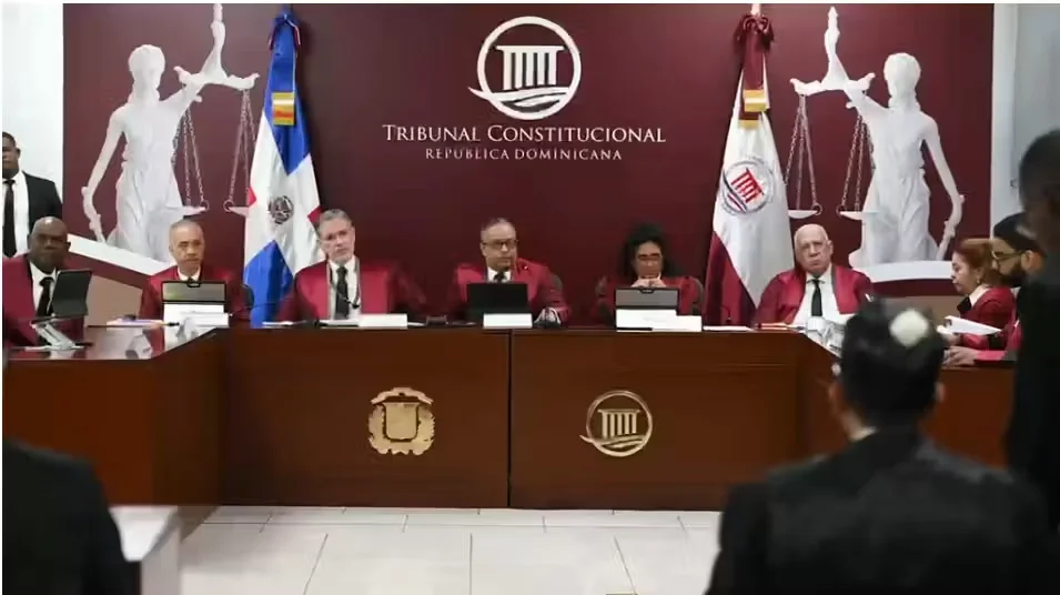 Inclusión, Código Penal y régimen electoral centran audiencia del TC con 23 acciones de inconstitucionalidad